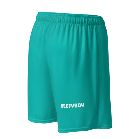 BB mesh shorts