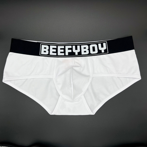 Optic Brief